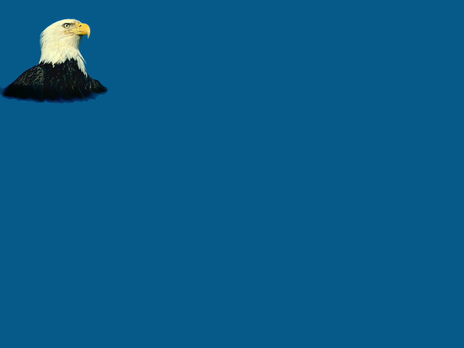 eagle background